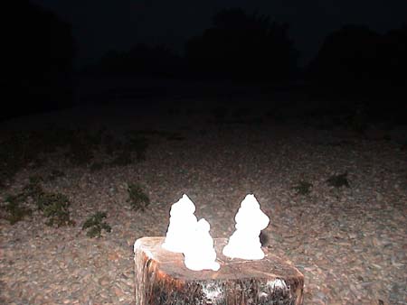 DSC03972