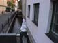 Kunstverein