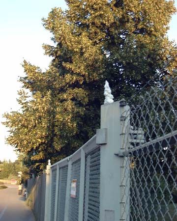 31b-ZF-Werk-1