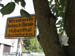 Hübenthal