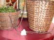 Kaffee zum Stern am Markt 