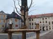 Residenzschloss