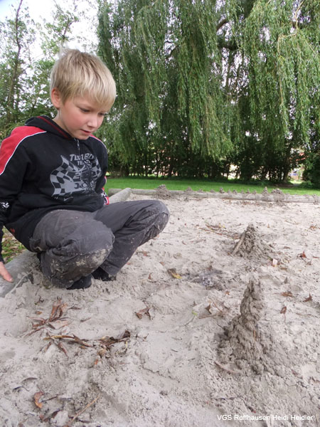 Sand-Visitors-01