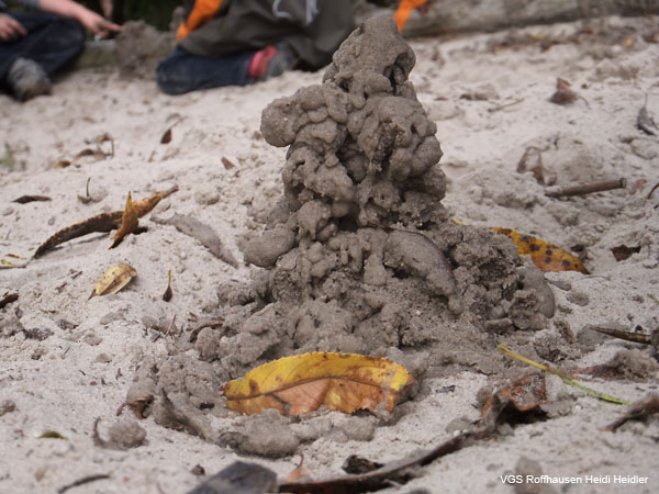 Sand-Visitors-04