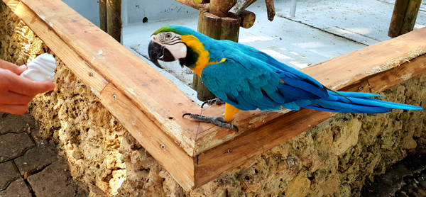 Visitor-Aktion im Remstal (DE - Baden-Württemberg)