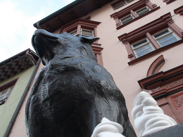 Visitor-Aktion in Rottweil (DE)